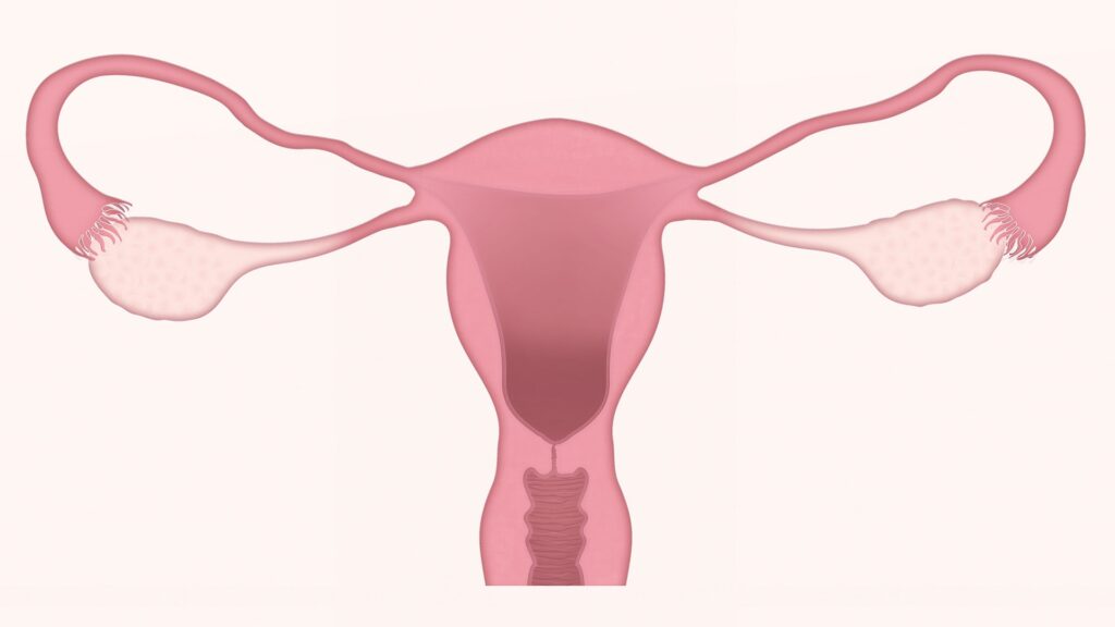 The Royal United Hospitals (RUH) Bath NHS Foundation Trust has become one of five trusts in the UK to introduce an innovative piece of equipment used for the targeted removal of cancer cells for patients with ovarian cancer.