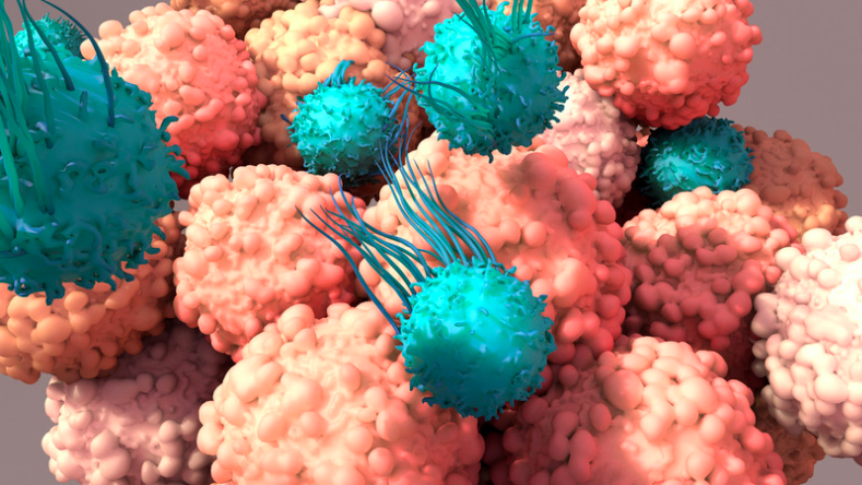 Combining immunotherapy drugs makes resistant cancers vulnerable