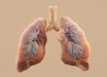 Scientists at Barts Cancer Institute,Ā Queen Mary University of London, have uncovered an important way that cells keep their genes under control.